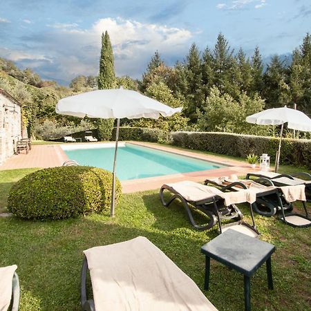 Casetta Di Butia, Ginestra Apartment With Swimming Pool Borgo a Mozzano Zewnętrze zdjęcie
