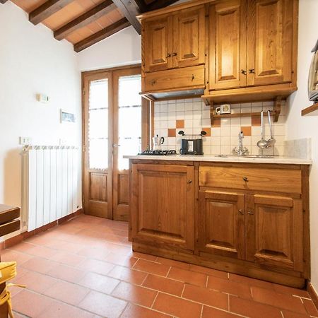 Casetta Di Butia, Ginestra Apartment With Swimming Pool Borgo a Mozzano Zewnętrze zdjęcie
