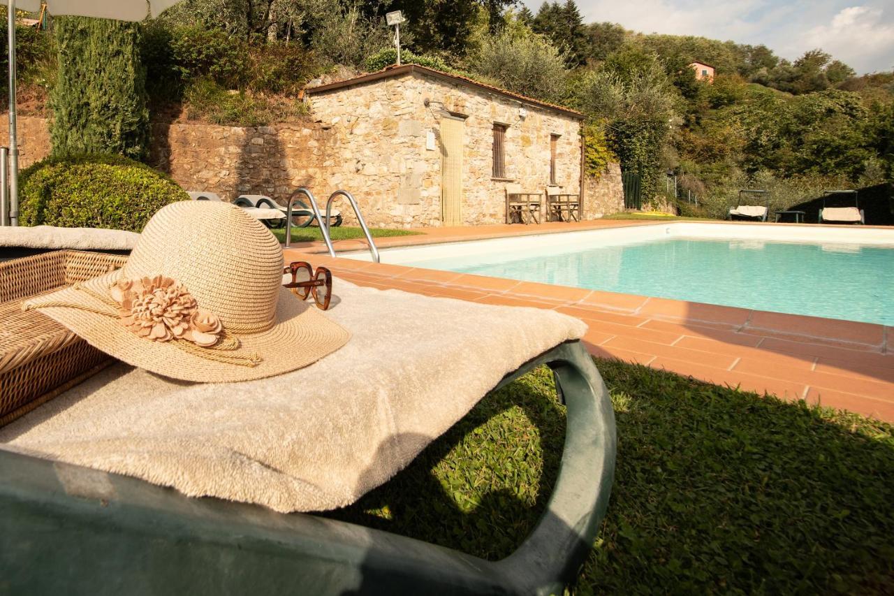 Casetta Di Butia, Ginestra Apartment With Swimming Pool Borgo a Mozzano Zewnętrze zdjęcie