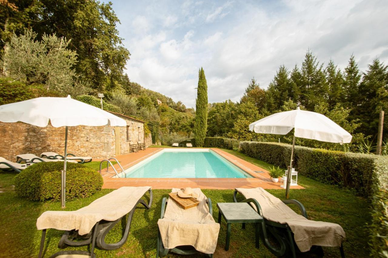 Casetta Di Butia, Ginestra Apartment With Swimming Pool Borgo a Mozzano Zewnętrze zdjęcie