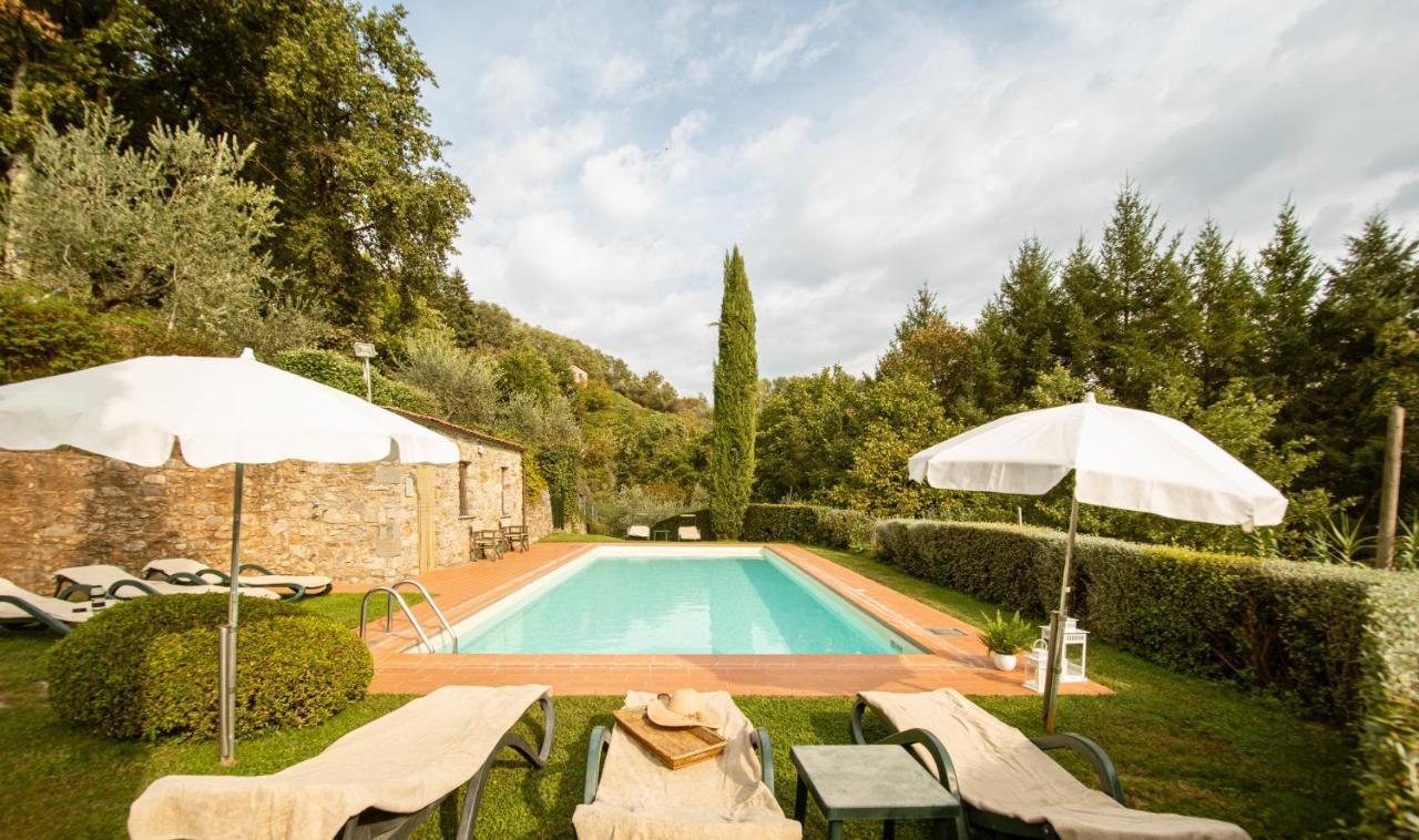 Casetta Di Butia, Ginestra Apartment With Swimming Pool Borgo a Mozzano Zewnętrze zdjęcie