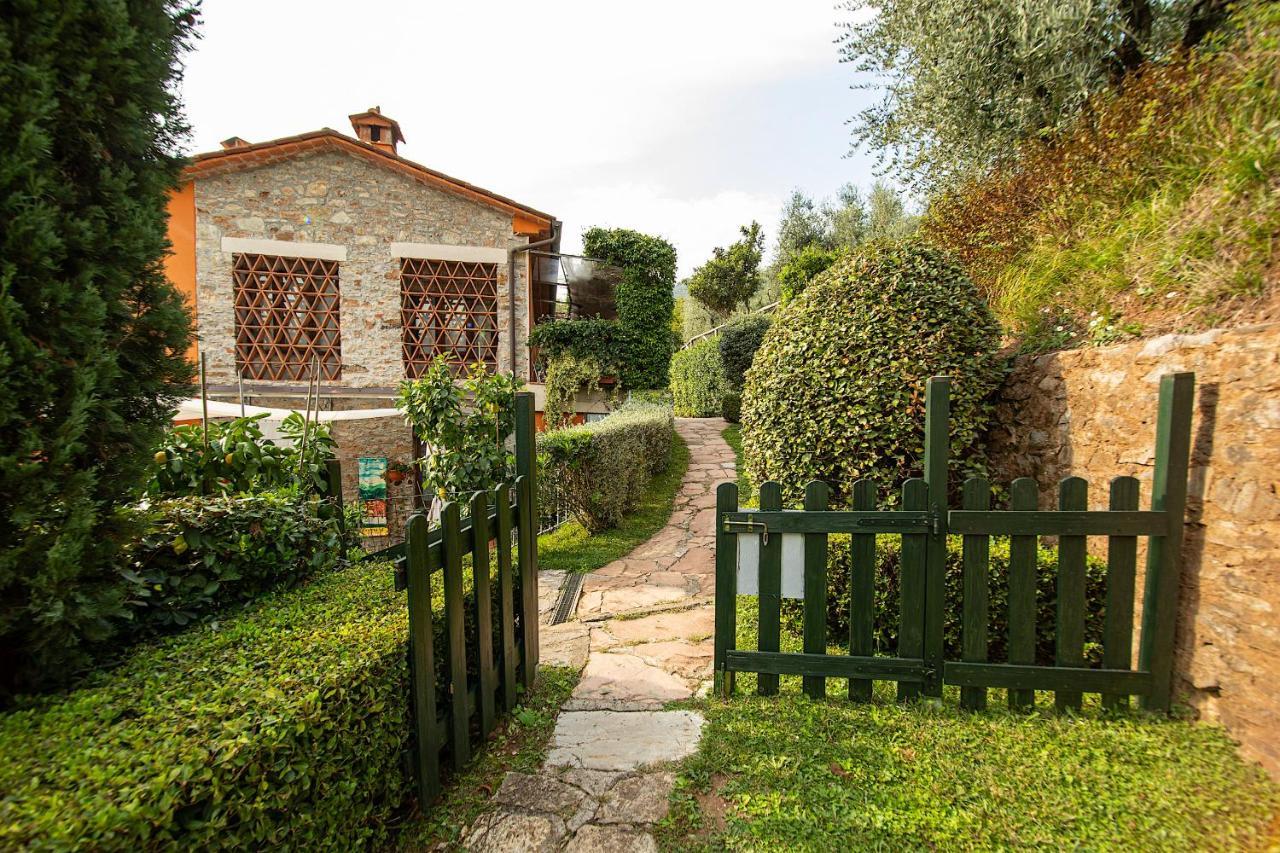 Casetta Di Butia, Ginestra Apartment With Swimming Pool Borgo a Mozzano Zewnętrze zdjęcie