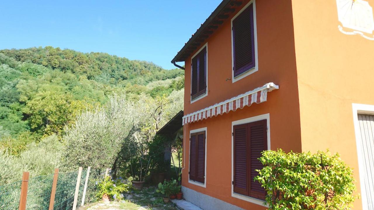 Casetta Di Butia, Ginestra Apartment With Swimming Pool Borgo a Mozzano Zewnętrze zdjęcie