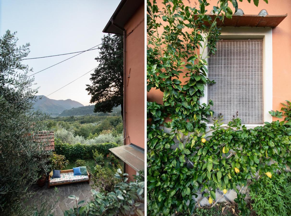 Casetta Di Butia, Ginestra Apartment With Swimming Pool Borgo a Mozzano Zewnętrze zdjęcie