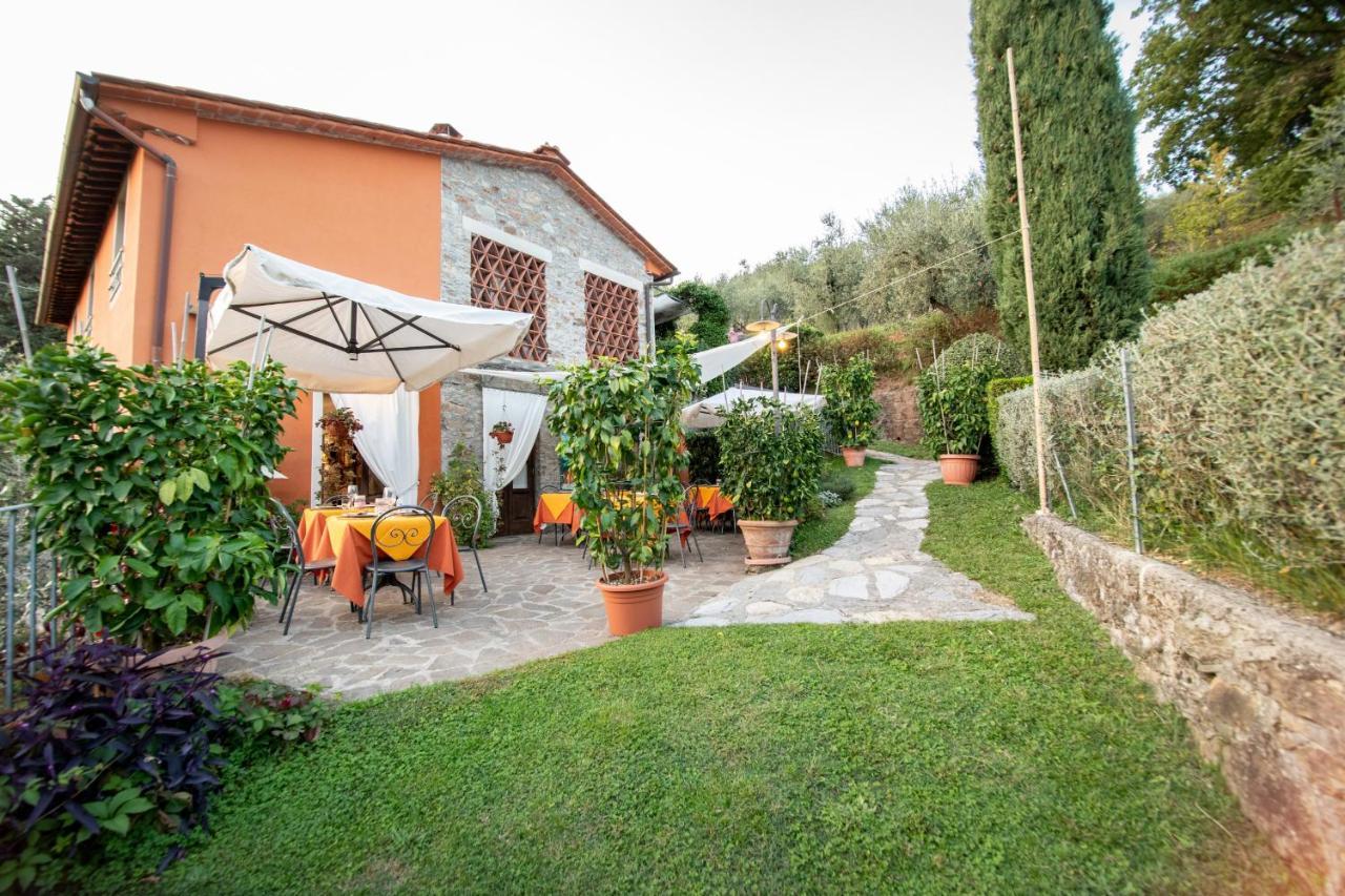 Casetta Di Butia, Ginestra Apartment With Swimming Pool Borgo a Mozzano Zewnętrze zdjęcie
