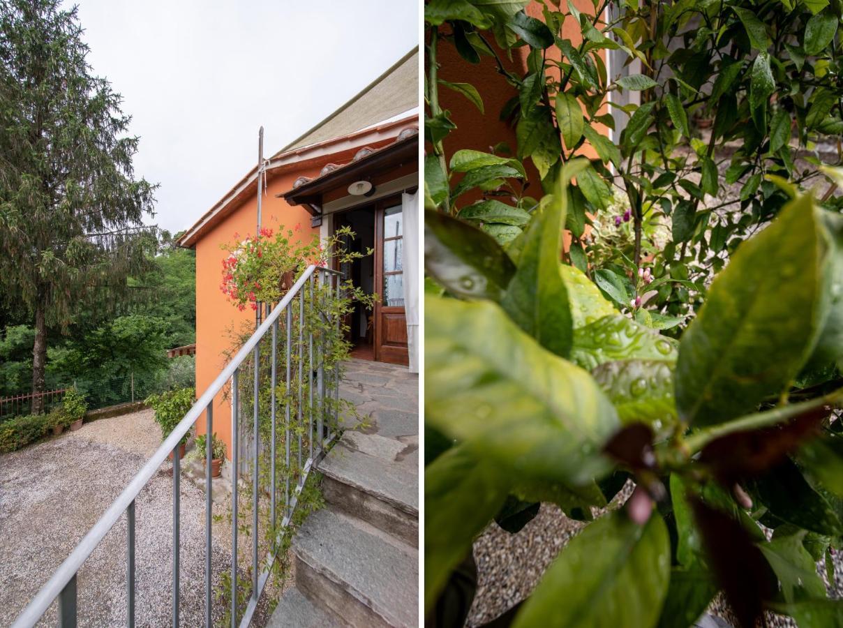 Casetta Di Butia, Ginestra Apartment With Swimming Pool Borgo a Mozzano Zewnętrze zdjęcie