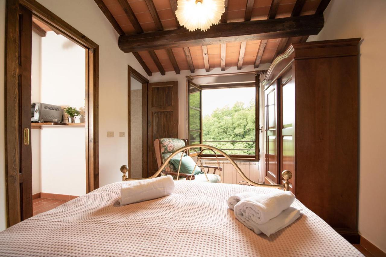 Casetta Di Butia, Ginestra Apartment With Swimming Pool Borgo a Mozzano Zewnętrze zdjęcie