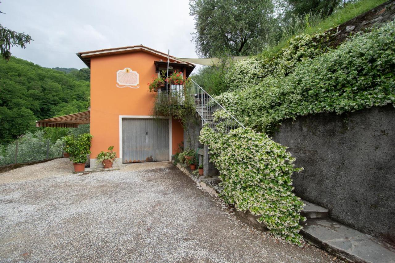Casetta Di Butia, Ginestra Apartment With Swimming Pool Borgo a Mozzano Zewnętrze zdjęcie
