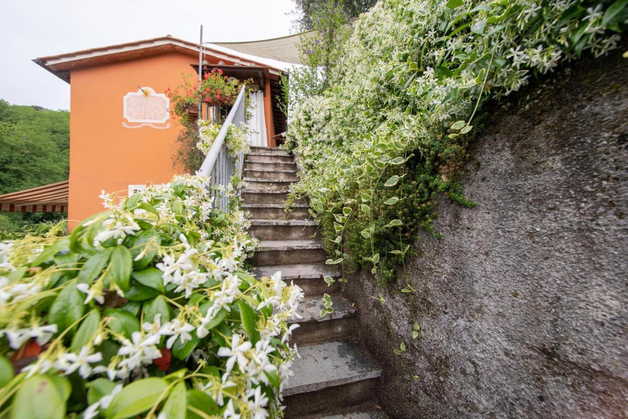 Casetta Di Butia, Ginestra Apartment With Swimming Pool Borgo a Mozzano Zewnętrze zdjęcie