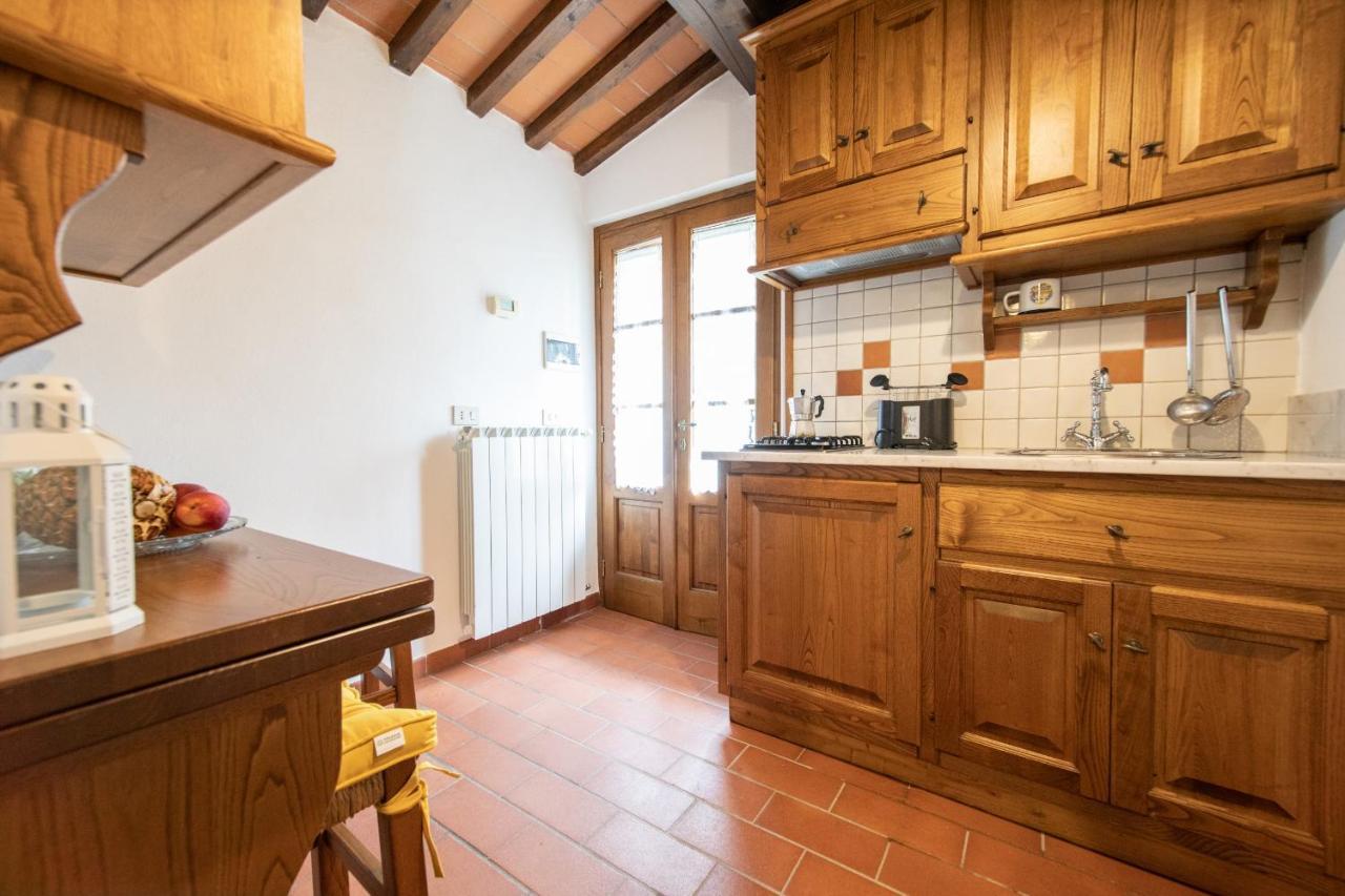 Casetta Di Butia, Ginestra Apartment With Swimming Pool Borgo a Mozzano Zewnętrze zdjęcie
