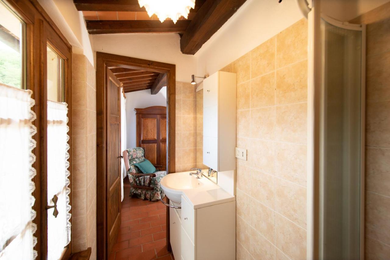 Casetta Di Butia, Ginestra Apartment With Swimming Pool Borgo a Mozzano Zewnętrze zdjęcie